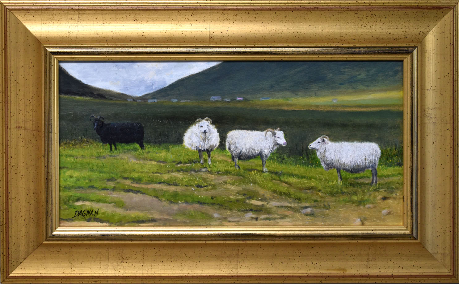 4 sheep in pasture