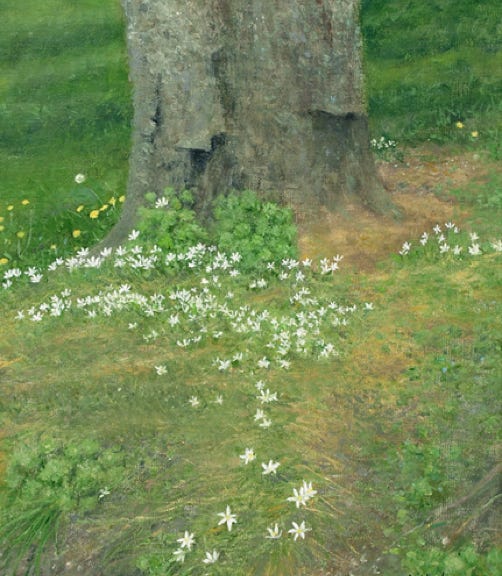Painting of Tree with flowers Star of Bethlehem by Gary Dagnan