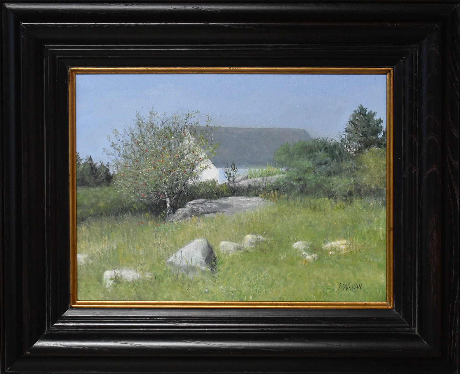 Landscape eith house, rocks, and apple tree.
