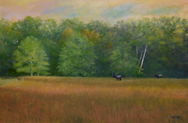 Elk in Autumn Pasture