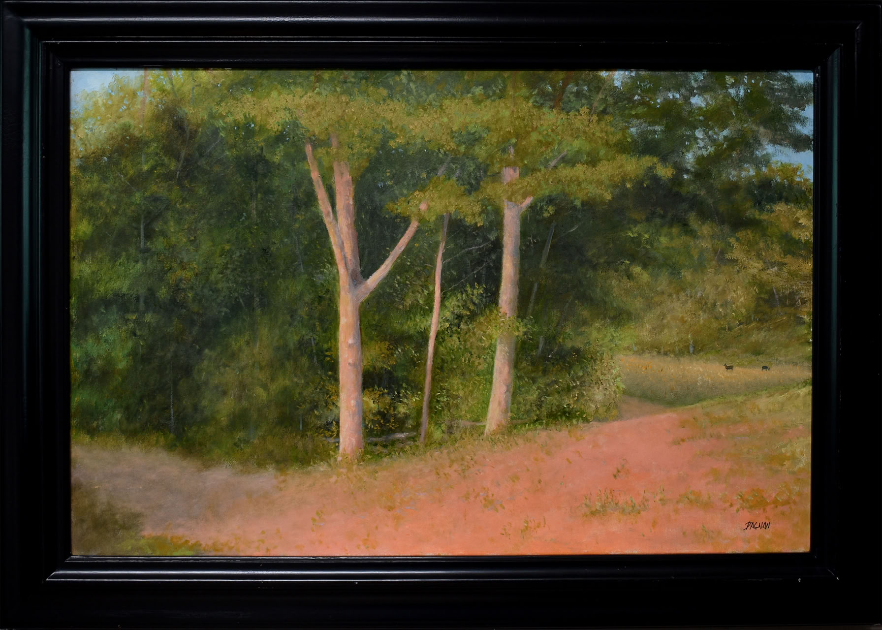 Late evening sun on trees with deer in distance